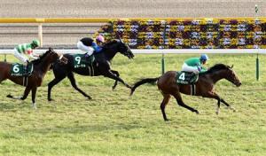 20160214_Dee_Majesty