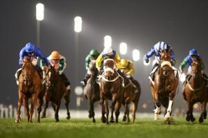 20160225_Safety_Check