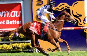 20160227_Extreme_Choice