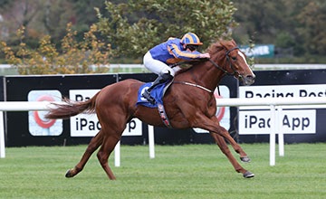 20160206_Giovanni_Canaletto