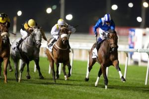 20150228_Ertijaal_IRE