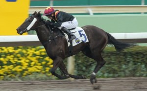 20160117_Master_Kochanwong