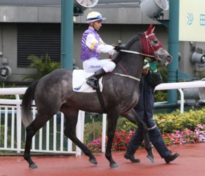 20160124_White_Magic