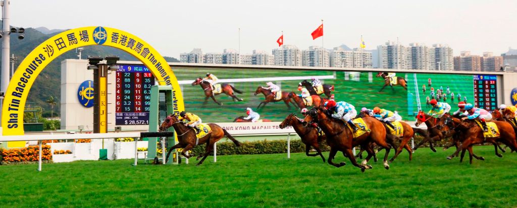 20160306_Dashing_Fellow