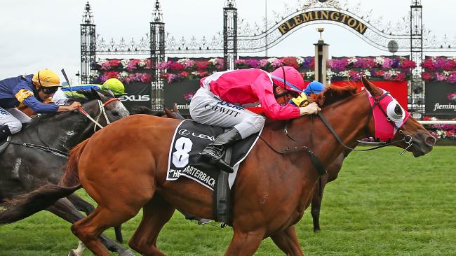 20160312_The_Quarterback