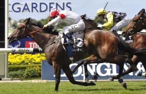 20160319_Southern_Legend