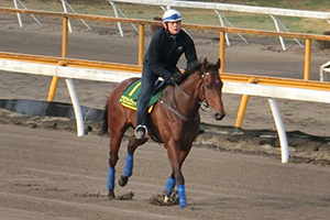 20160321_Aerovelocity