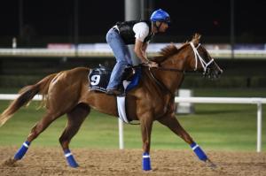 20160324_Lady_Shipman