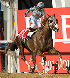 20160326_California_Chrome