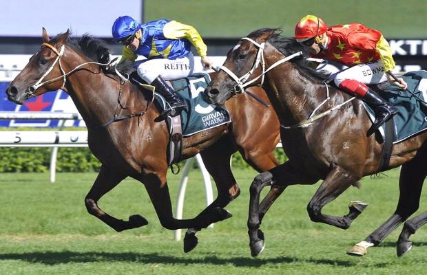 Source: racenet.com.au