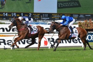 20160319_The_United_States