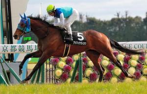 20160213_Admire_Daio