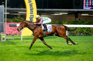 20160323_Horse_of_Fortune