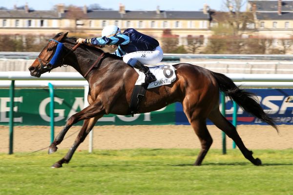 20160410_ Garlingari