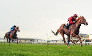 20160414_Stormy_Antarctic