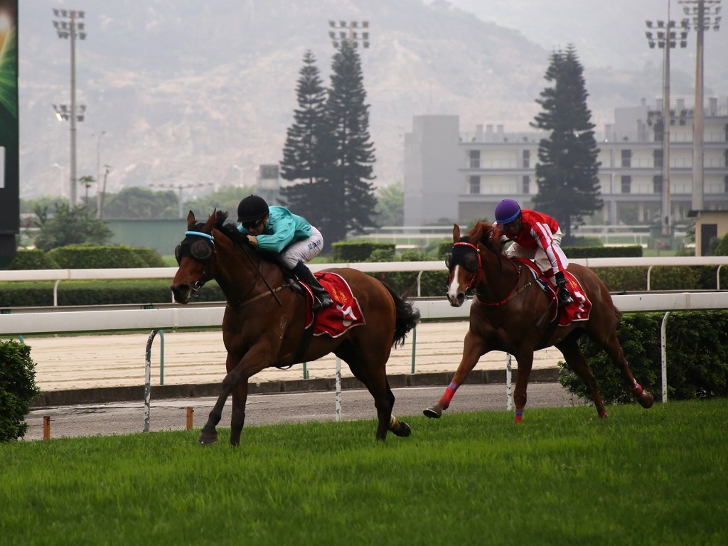 20160417_Turquorise_Power