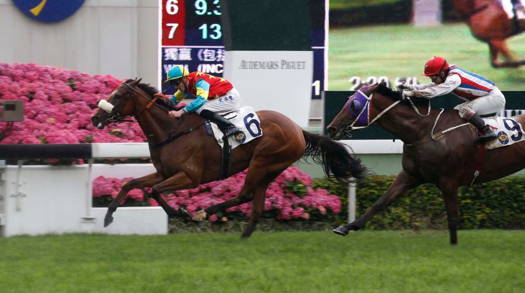 20160426_Ambitious_Champion