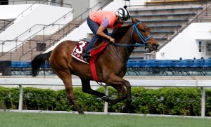 20160428_Mongolian_Saturday