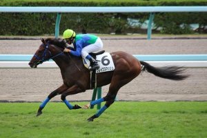 20150906_Brave_Smash