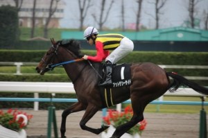 20151123_At_the_Seaside