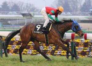 20160220_Meiner_Honey