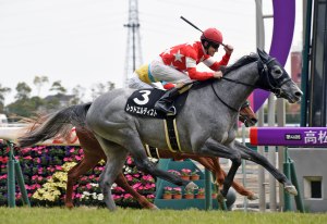 20160327_Red_Elderest