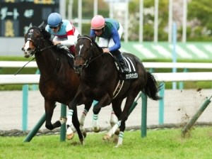 20160402_Vanquish_Run