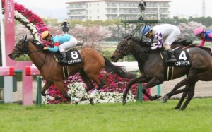 20160410_Rottenmeier