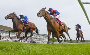 20160507_Humphrey_Bogart