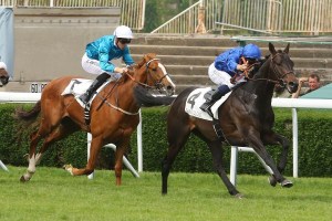 20160508_Cloth_of_Stars