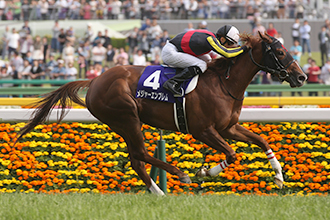 20160508_Major_Emblem