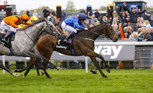 20160513_Clever_Cookie