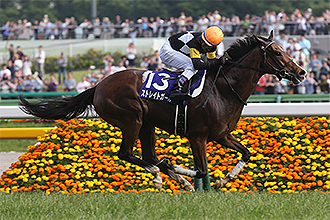 20160515_Straight_Girl