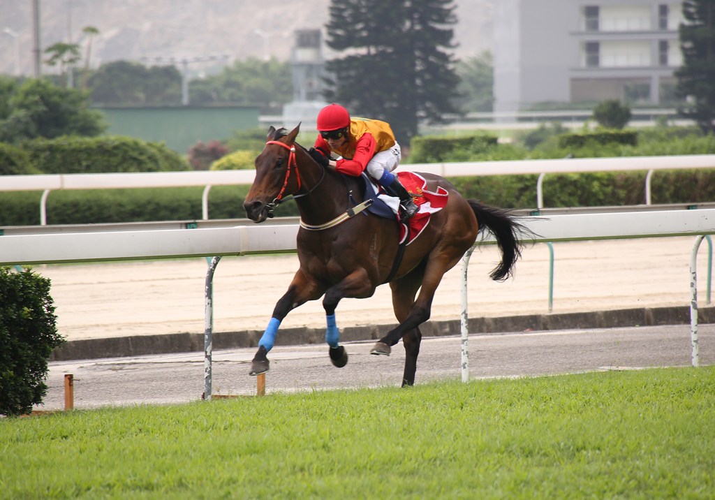 20160515_Wonder_Mossman