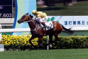 20160522_Peniaphobia