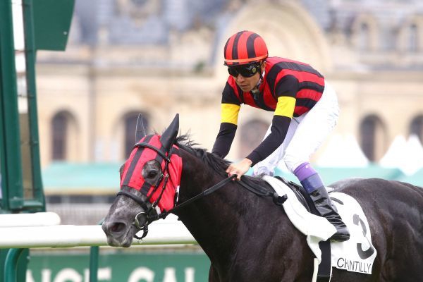 20160524_A_Shin_Hikari