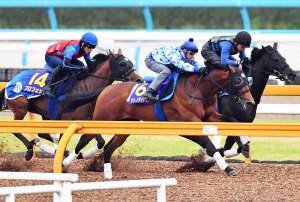 20160524_Satono_Diamond