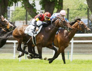 20160525_A_Shin_Erwin