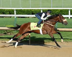 20160529_Suddenbreakingnews