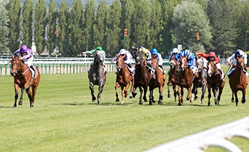 Source: racingpost.com