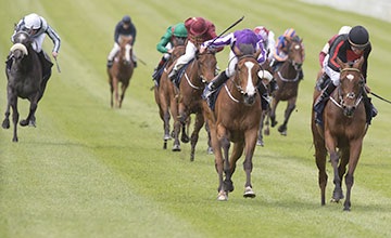 Source: racingpost.com/Edward Whitaker