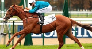 20151005_Robin_of_Navan