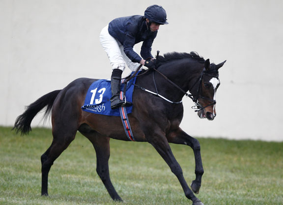 20160403_US_Army_Ranger