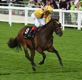 20160615_Lady_Aurelia