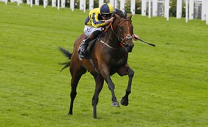 20160615_My_Dream_Boat