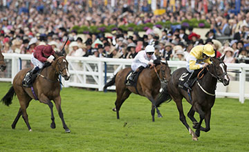 20160617_Quiet_Reflection