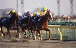 19990131_Meisei_Opera