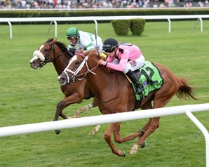 20160710_Catch_A_Glimpse