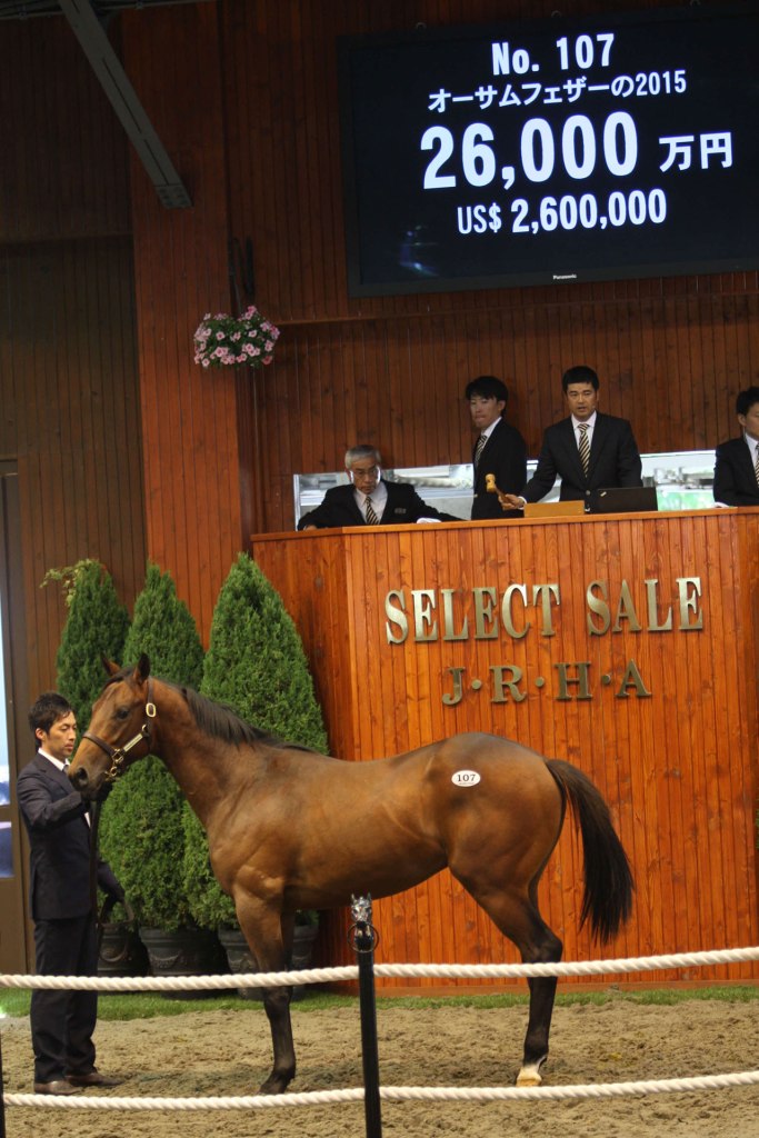 20160711_Awesome_Feather_2015