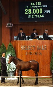 20160712_Elusive_Wave_2016